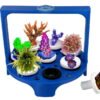Coral Frag Transportation Container