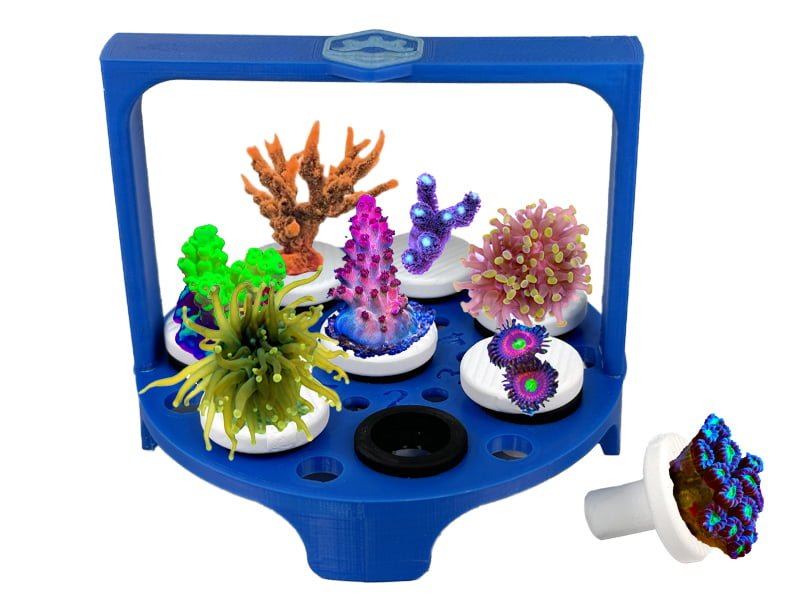 Coral Frag Transportation Container